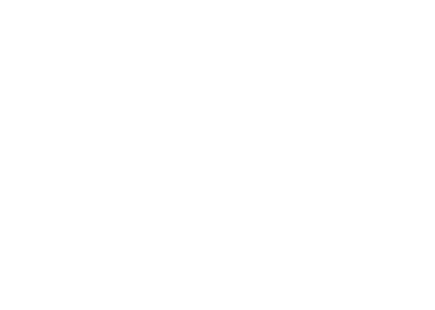 TECHBRIDGE_TRANSPARENT